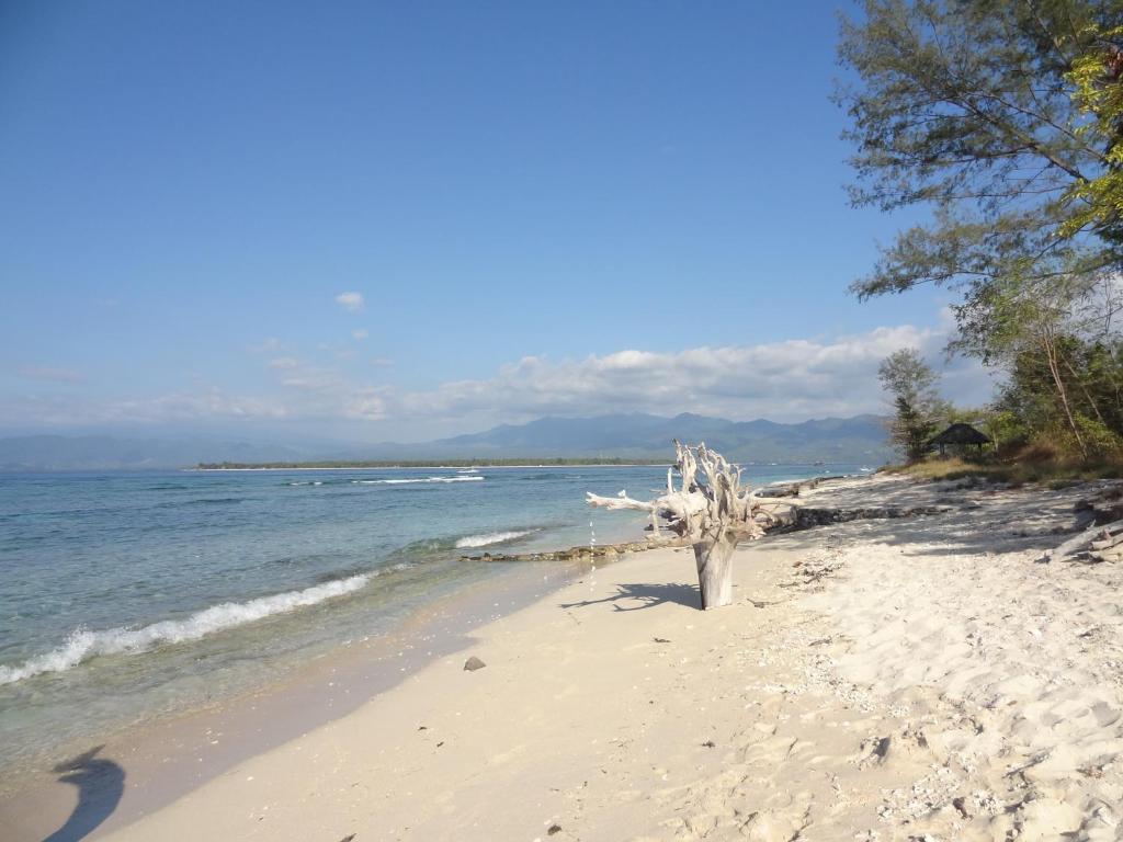 Kalinka Inn غيلي مينو المظهر الخارجي الصورة
